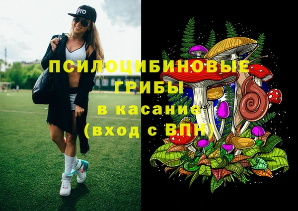стафф Лихославль