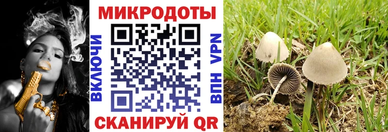 Галлюциногенные грибы ЛСД  Терек 