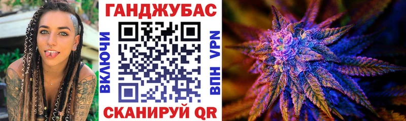 Конопля сатива Терек