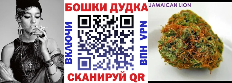 Бошки Шишки Amnesia  Терек 